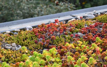 the cost of Shelford green roof installation
