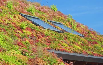 Shelford living roof systems